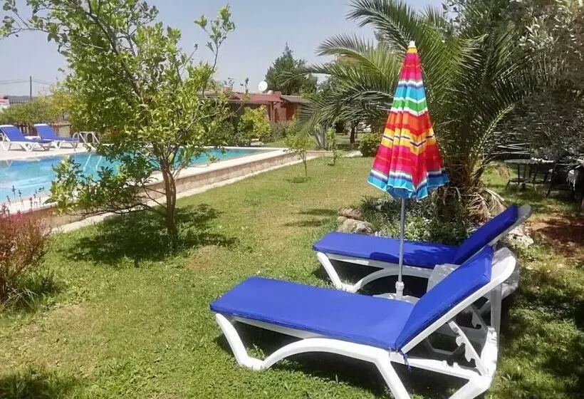 ホテル Green House Boğaziçi – Dodo House