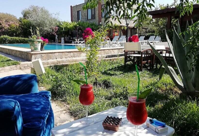 בית מלון כפרי Green House Boğaziçi – Dodo House