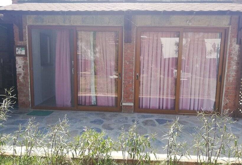 בית מלון כפרי Green House Boğaziçi – Dodo House