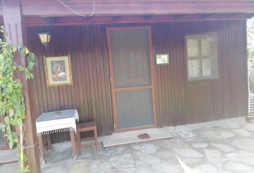 ホテル Green House Boğaziçi – Dodo House