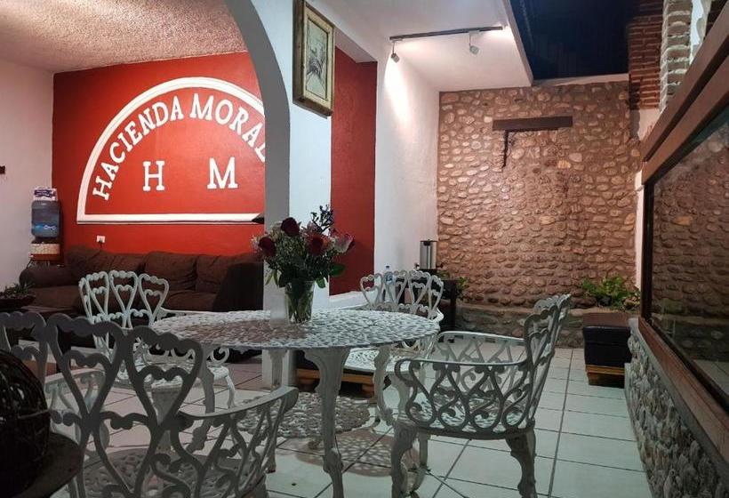 호텔 Hacienda Morales