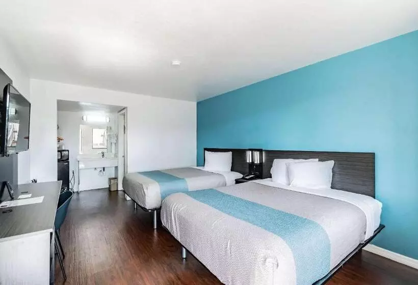 Motel 6 Tampa  Near Fairgrounds  Casino