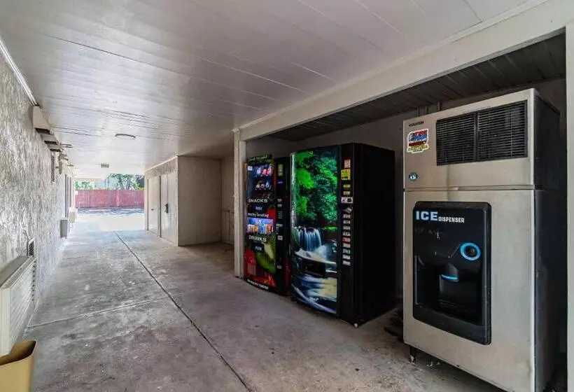 Motel 6 Tampa  Near Fairgrounds  Casino