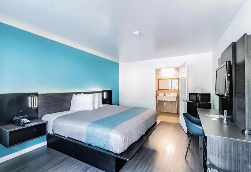 Motel 6 Tampa  Near Fairgrounds  Casino