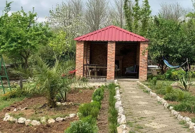 پانسیون Tsivi Tba