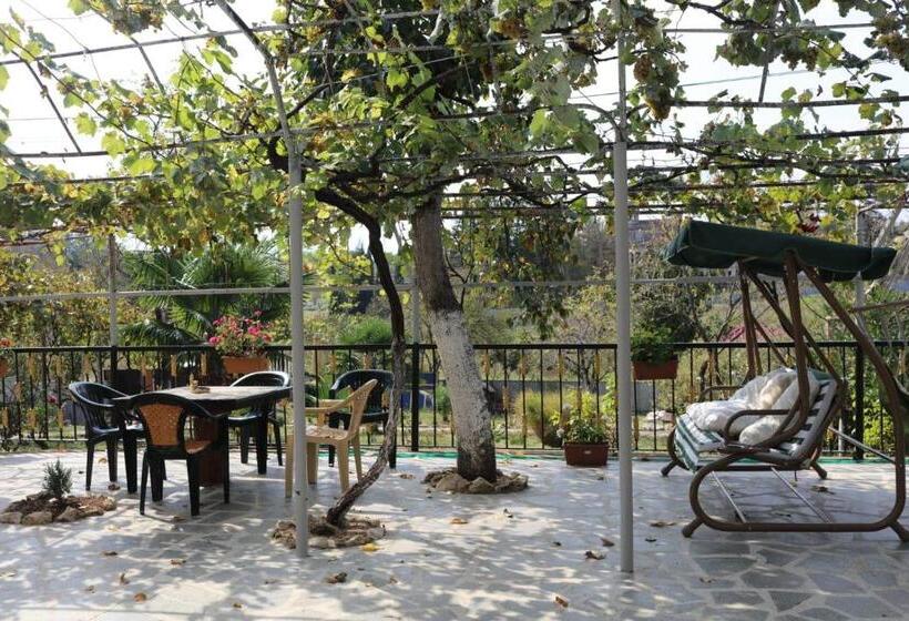 پانسیون Tsivi Tba