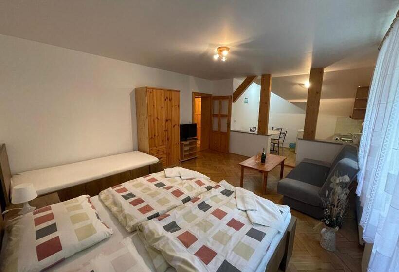 ペンション Villa Belvedere