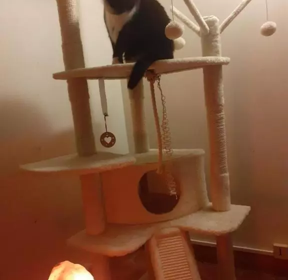 Aamiaismajoitus (B&B) Maison D Hôtes Archangels Home