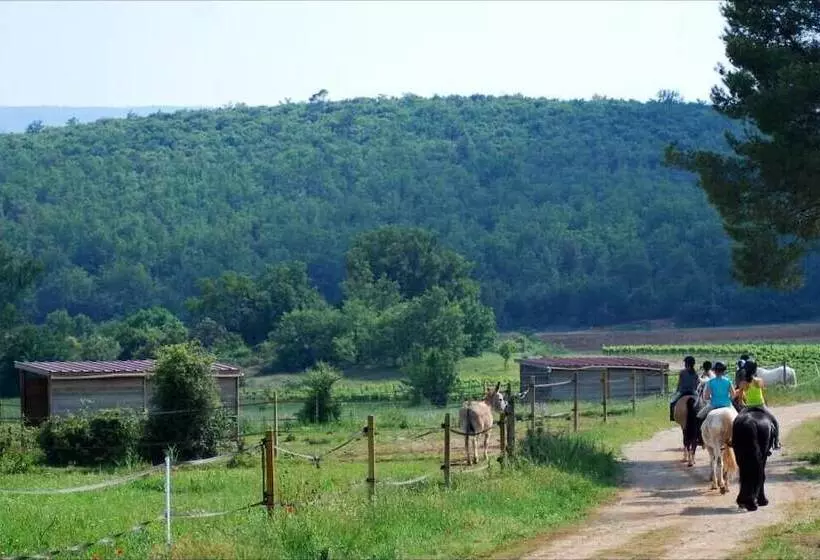 簡易ホテル Les Terres De Saint Hilaire