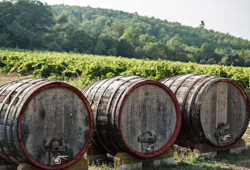 簡易ホテル Les Terres De Saint Hilaire