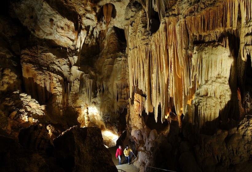 فندق Camping Ibie