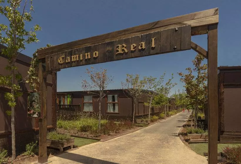 אתר נופש Magic Robin Hood