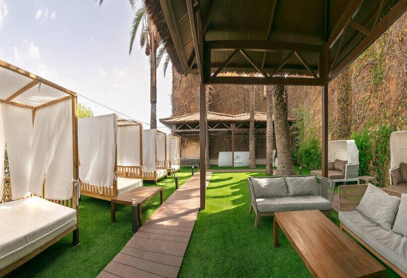 Resort Magic Robin Hood