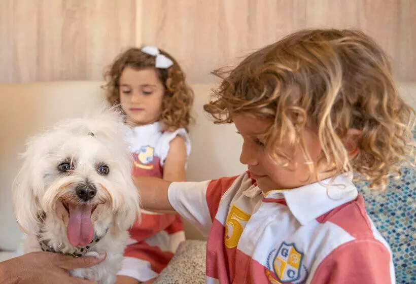 אתר נופש Magic Robin Hood