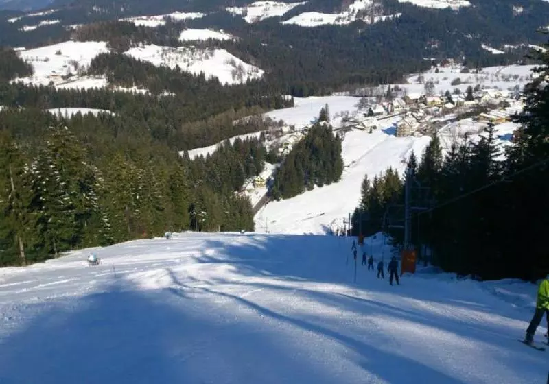 هتل Apartmaji Koželj
