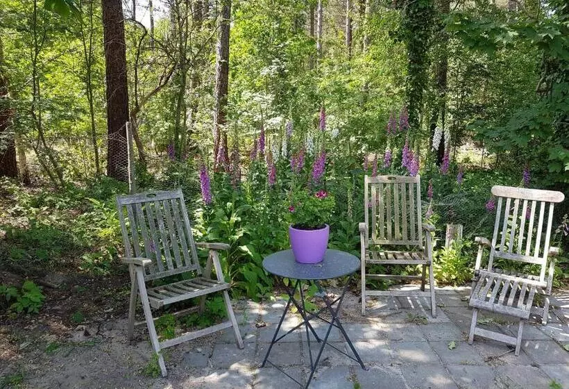 Aamiaismajoitus (B&B) Bed&breakfast Kamersven