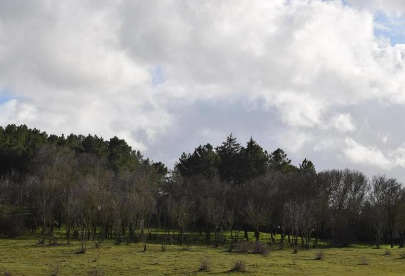 فندق Restaurante Racha