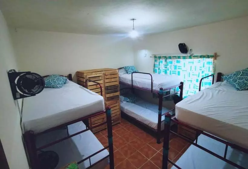 ペンション Casa Sobek