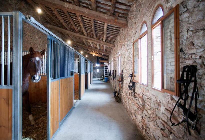 تختخواب و صبحانه Can Borrell