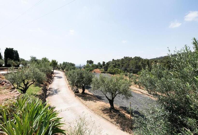 تختخواب و صبحانه Can Borrell