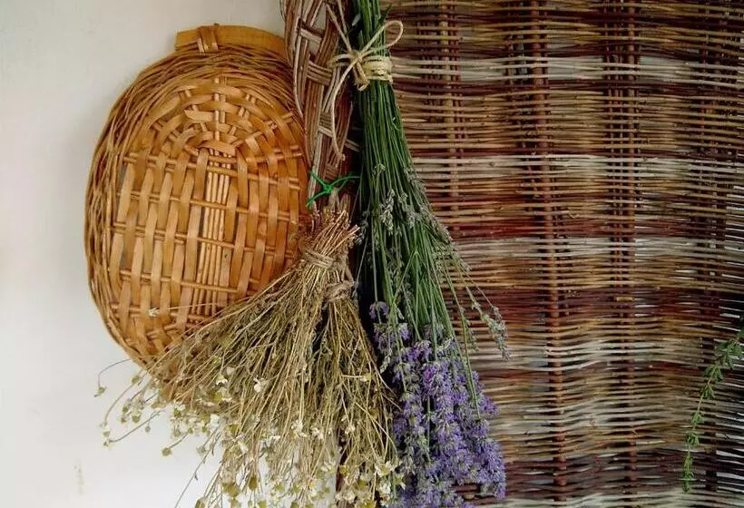 ベッドアンドブレックファースト Le Piracante