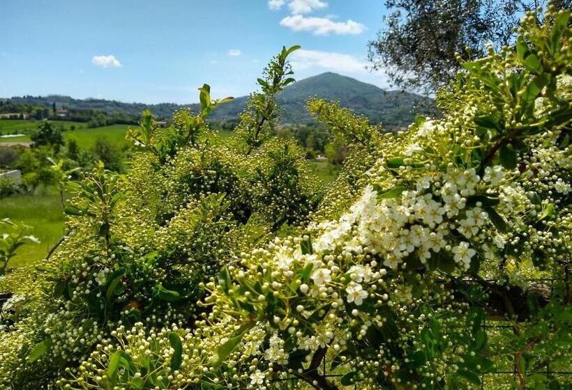 住宿加早餐 Le Piracante