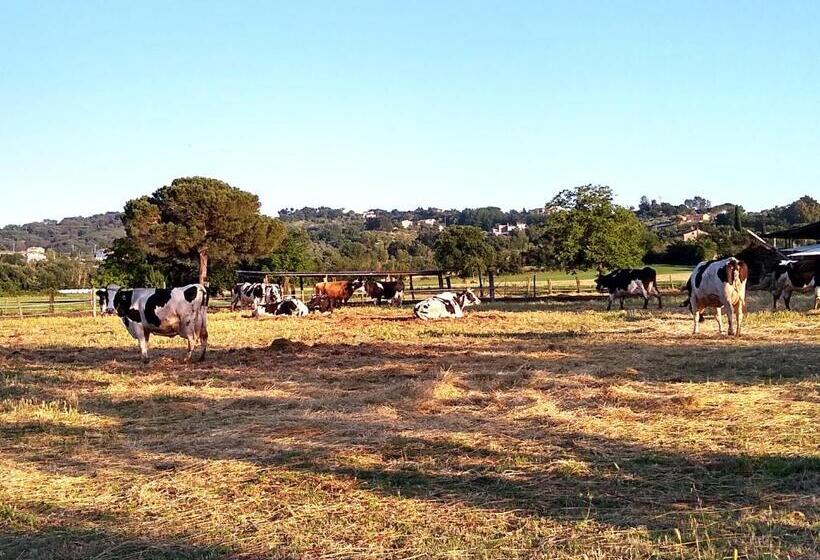 住宿加早餐 Le Piracante