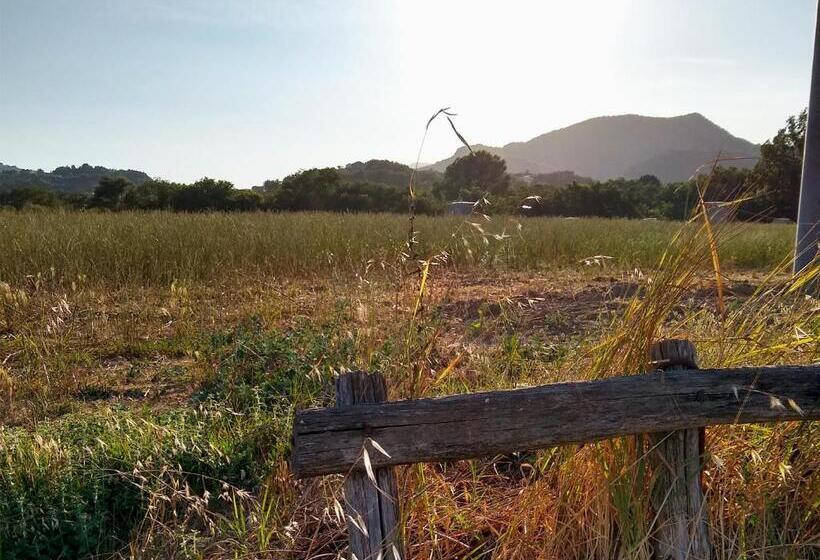 住宿加早餐 Le Piracante