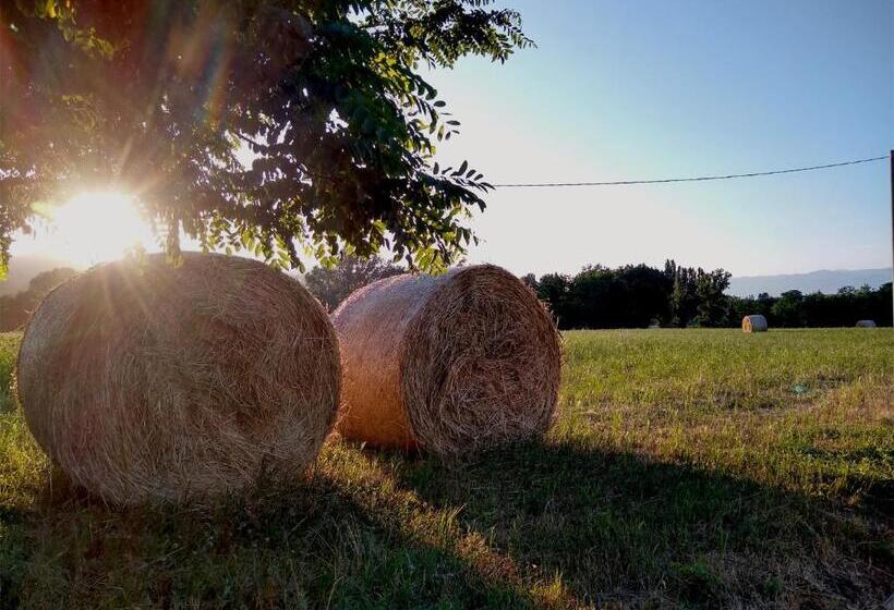 住宿加早餐 Le Piracante