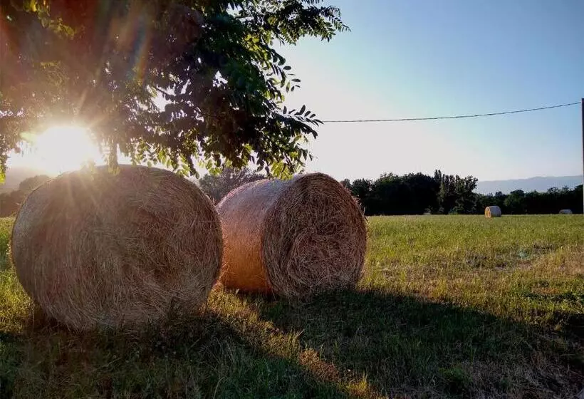 ベッドアンドブレックファースト Le Piracante