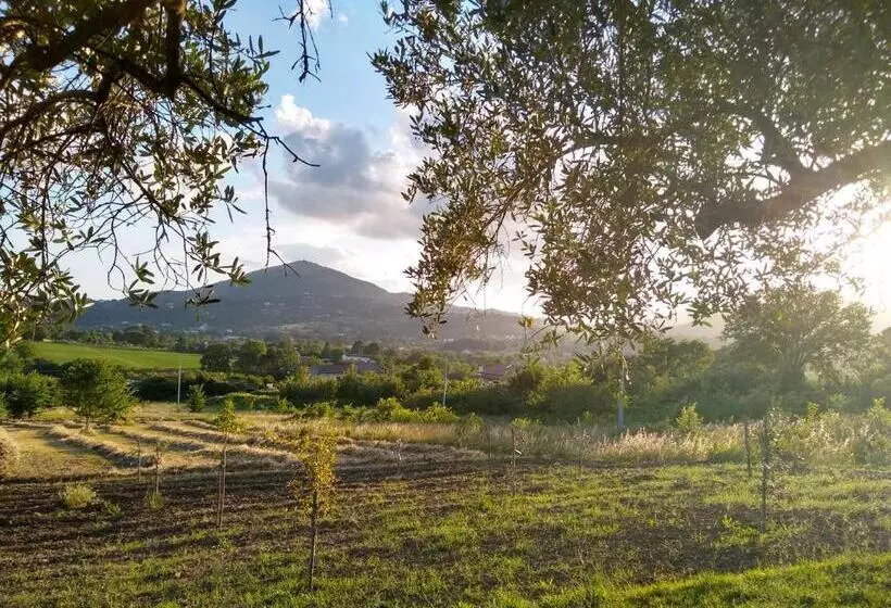 ベッドアンドブレックファースト Le Piracante