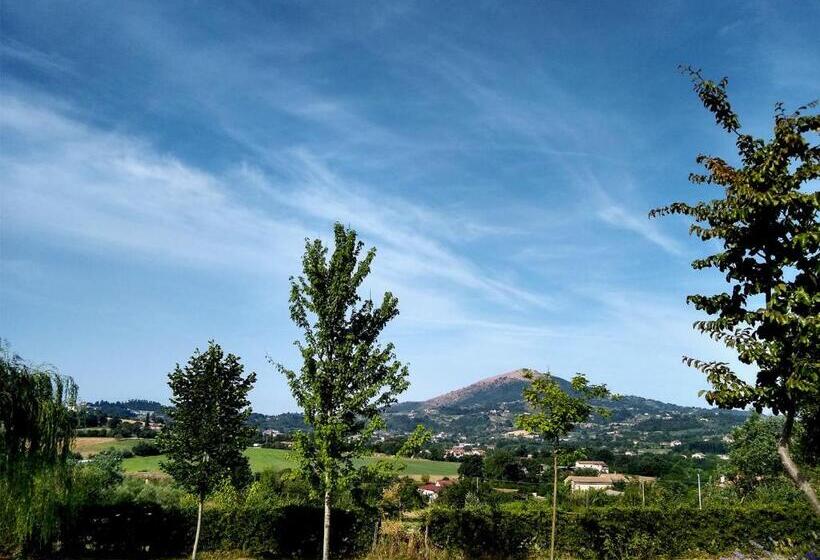 住宿加早餐 Le Piracante