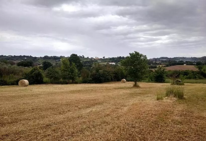 ベッドアンドブレックファースト Le Piracante