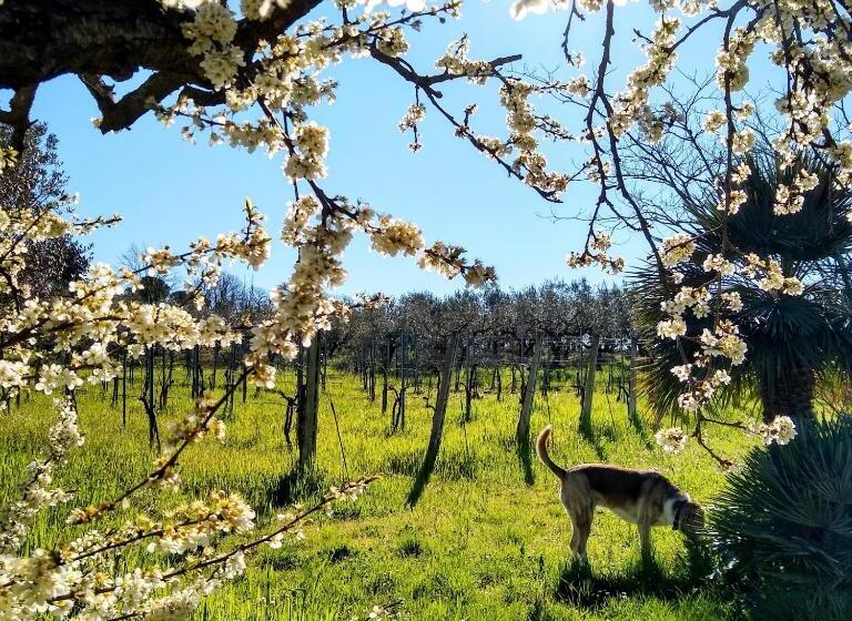 住宿加早餐 Le Piracante