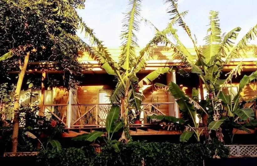 Cabanas Te Maori