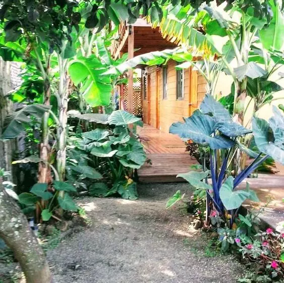 Cabanas Te Maori