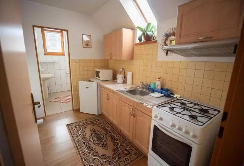 پانسیون Apartmány Tatry Euro Crv