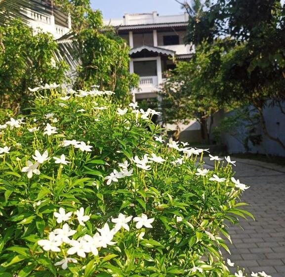 펜션 Lavender Mirissa