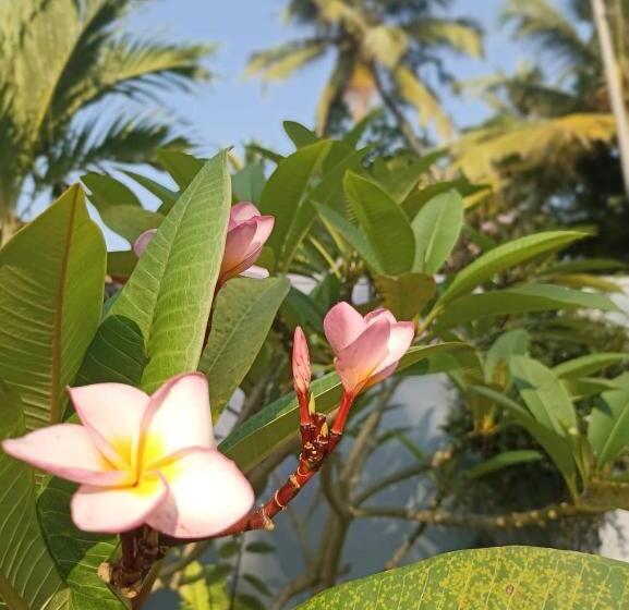 펜션 Lavender Mirissa