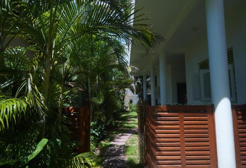 Bed & Breakfast Casa Tharin Madiha