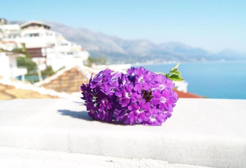 ペンション Q Bay Apartments