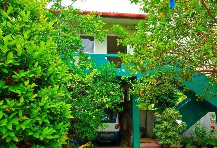 ペンション Villa Dragon House