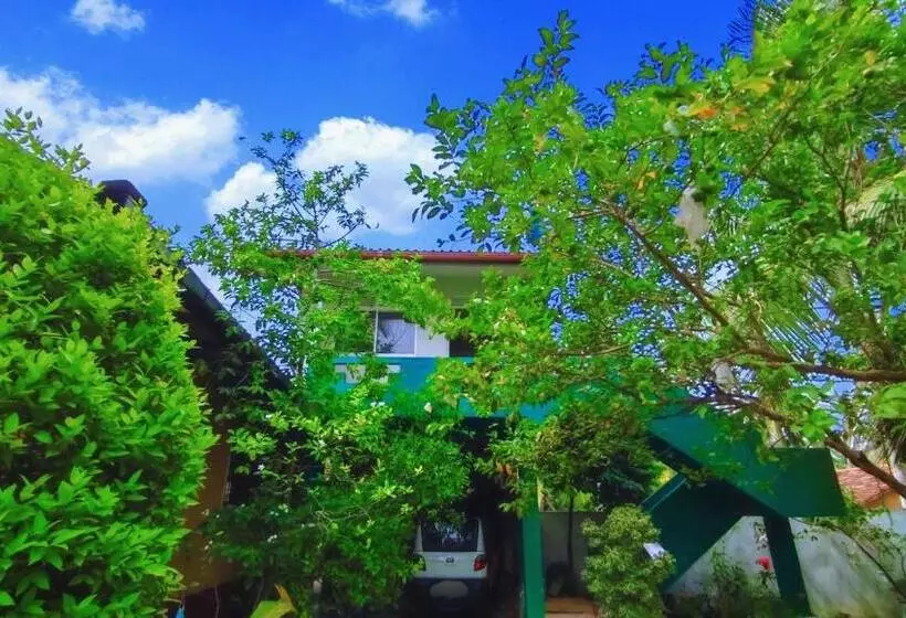ペンション Villa Dragon House