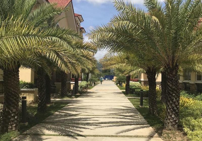 San Remo Oasis Cebu Citystudio Type Condo