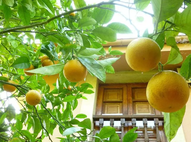 Hotel Rural La Balconada