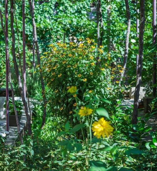 پانسیون Apartman Mim