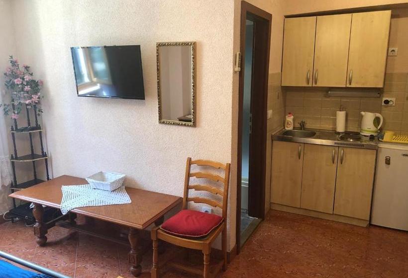 پانسیون Apartments Vukotic