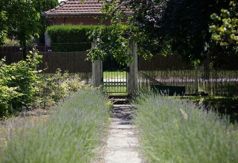 پانسیون Part Apartman