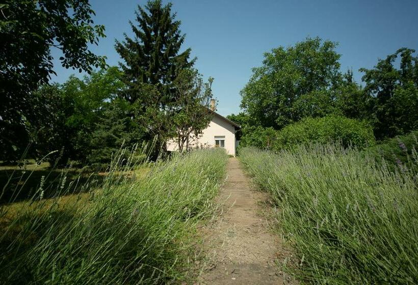 پانسیون Part Apartman