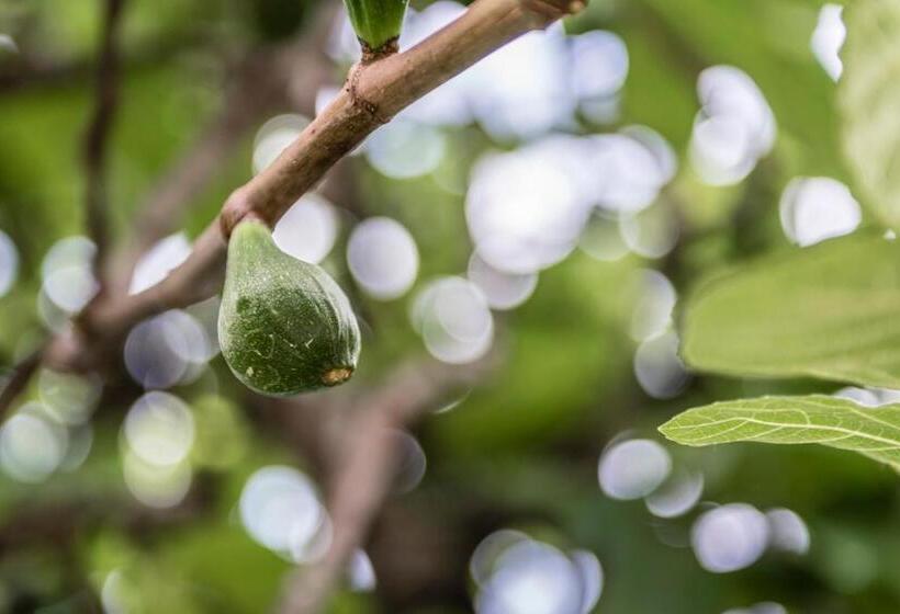 Residence Fischerhof